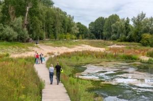 Wandelen over vlonders aan de zuidzijde van het park.